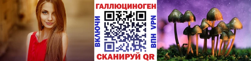 Псилоцибиновые грибы GOLDEN TEACHER дарк нет как зайти Берёзовка гидра ССЫЛКА